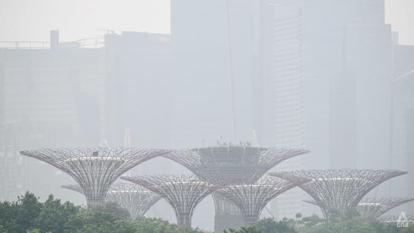 Singapore air quality shows marginal gains amid lingering PM2.5 concerns