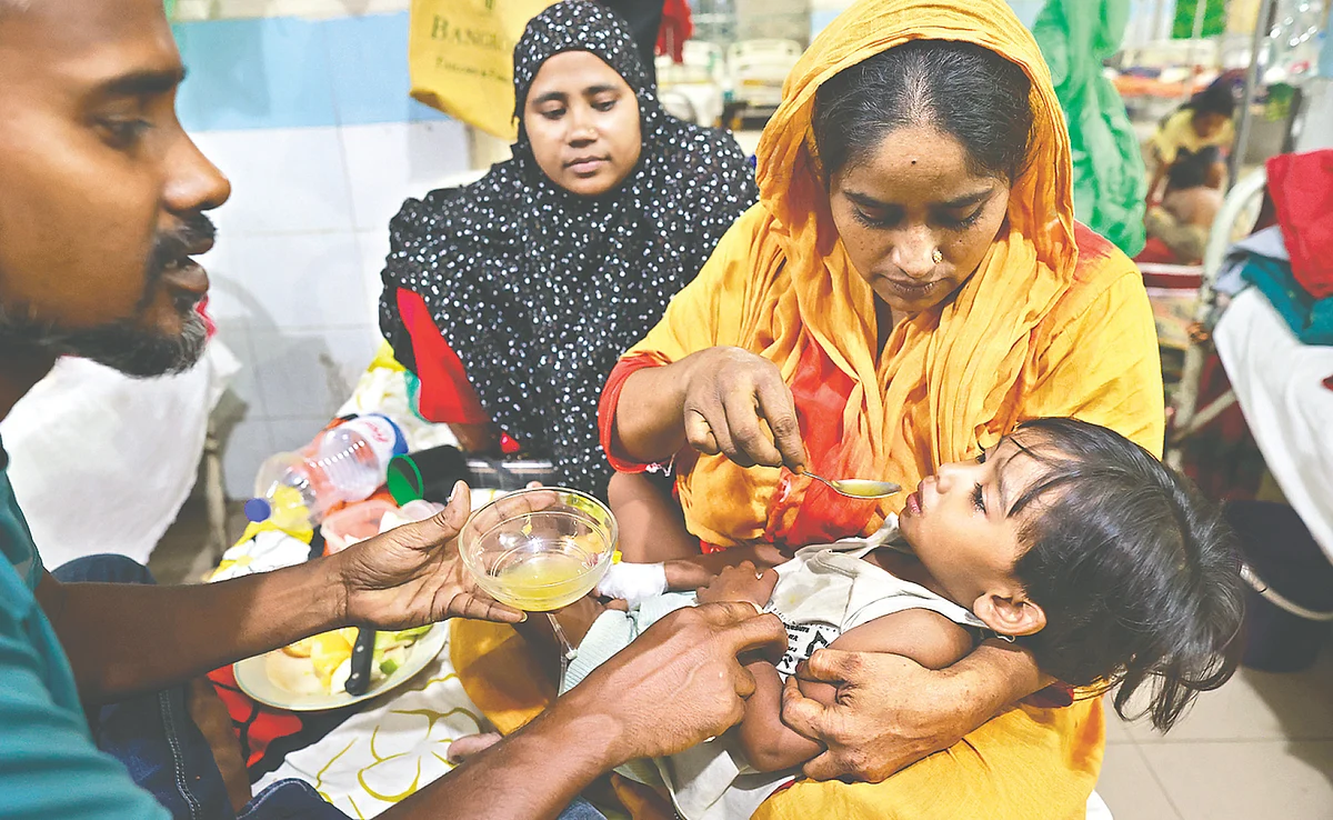 Coastal dengue surge emerges without coordinated prevention strategy