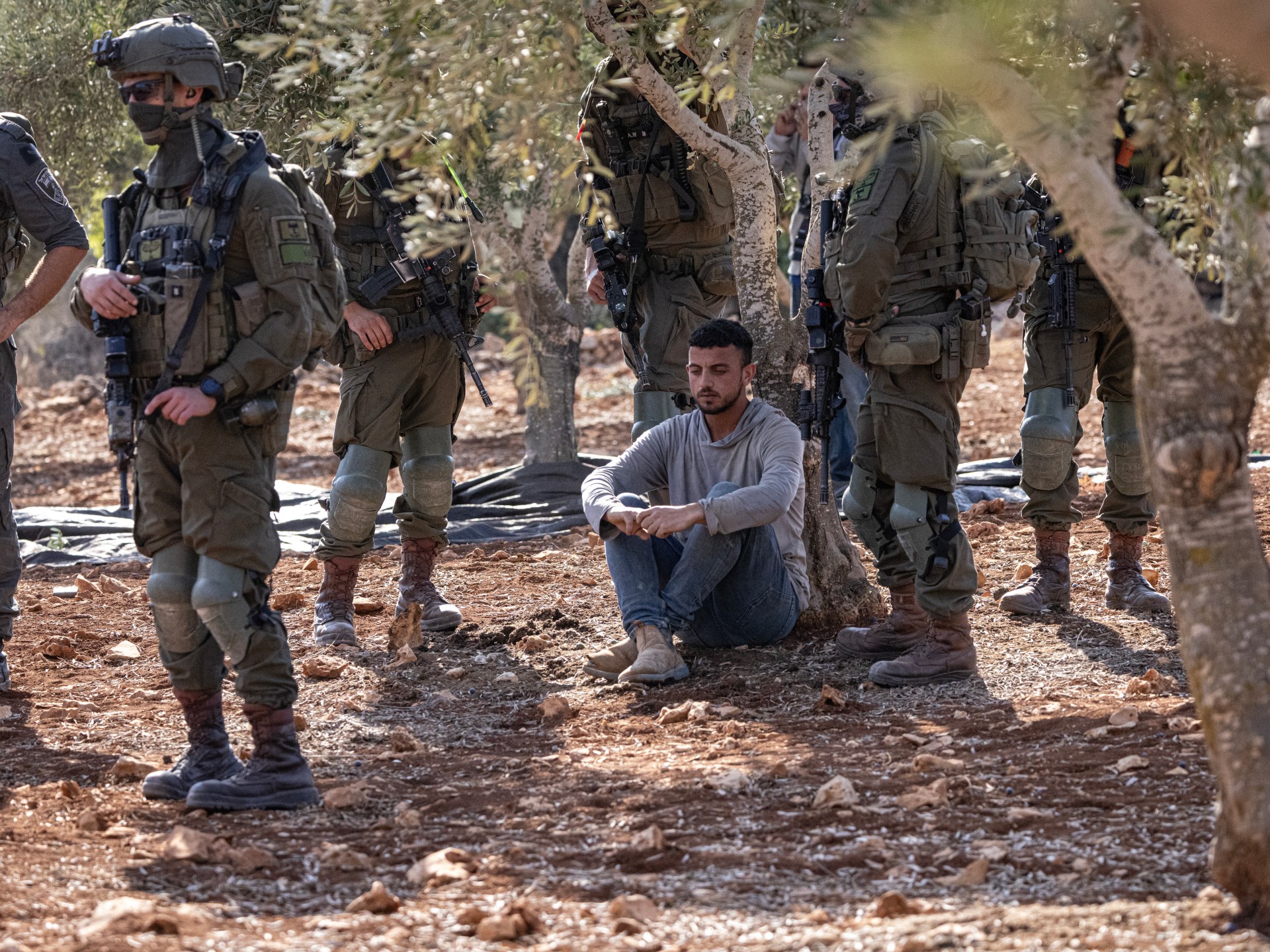 Israeli forces arrest 36 Palestinians during West Bank olive harvest