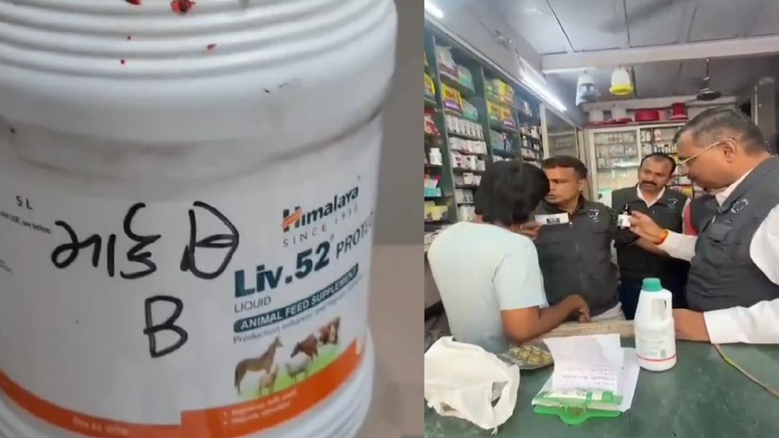 Surat pharmacy operator arrested for selling animal liver tonic as children's medicine