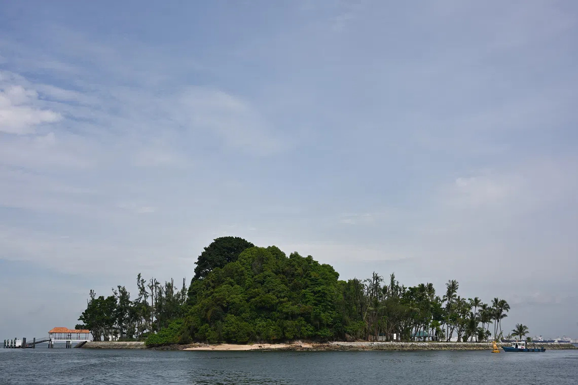 Singapore launches $60m marine science institute to tackle ocean challenges