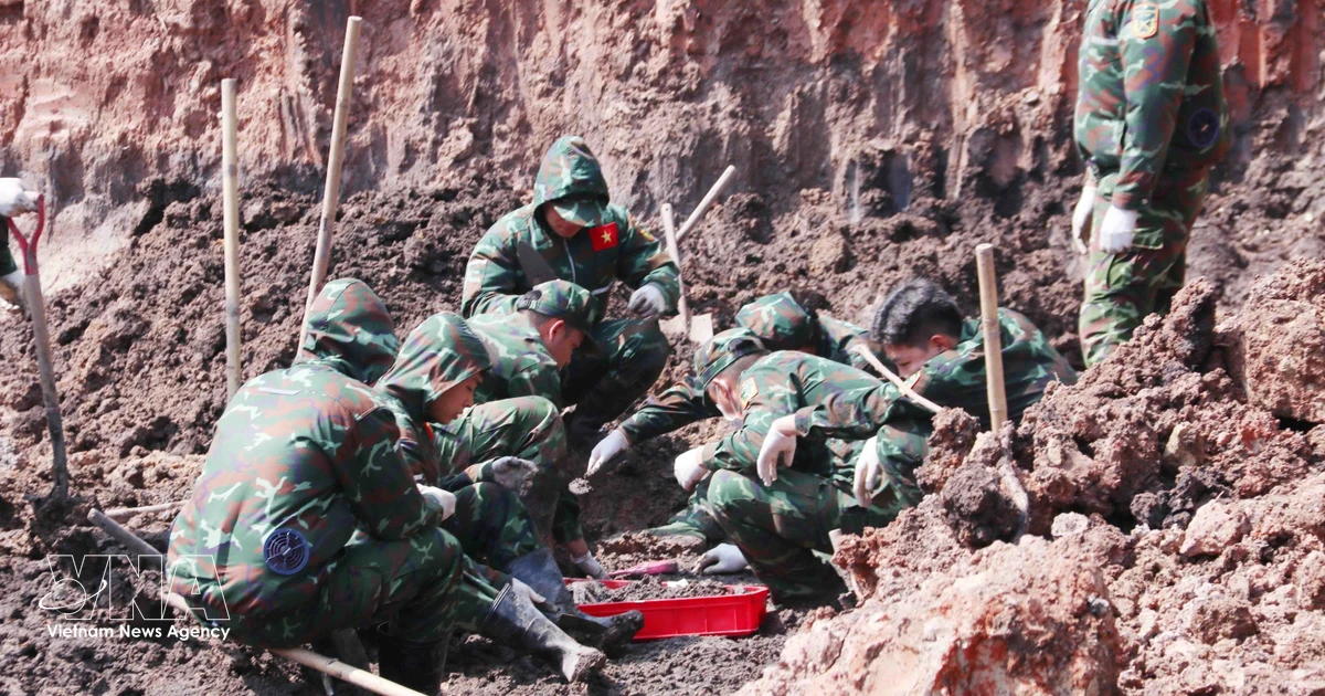 Recovery teams unearth 19 more war martyrs' remains in Ho Chi Minh City
