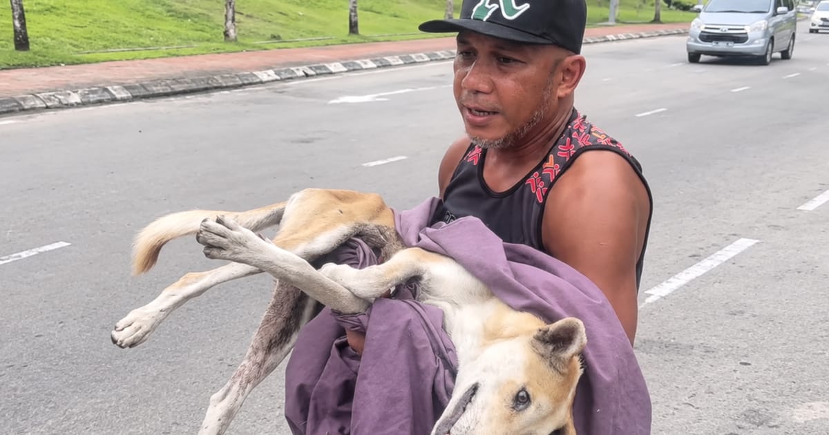 Bekas Petarung MMA AJ 'Pyro' Kini Dedikasikan Diri untuk Haiwan Terlantar