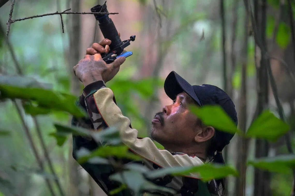 Indonesian wildlife scheme pays hunters to photograph instead of kill