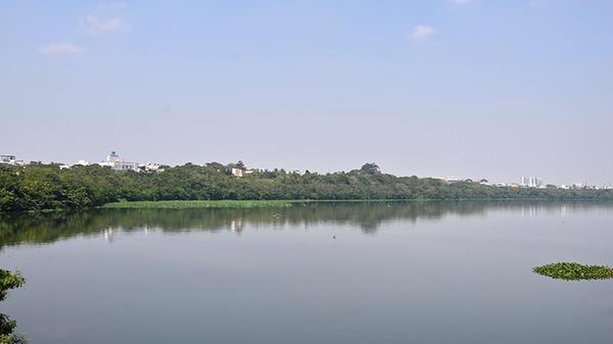 Tamil Nadu to construct 27 check dams for flood water conservation