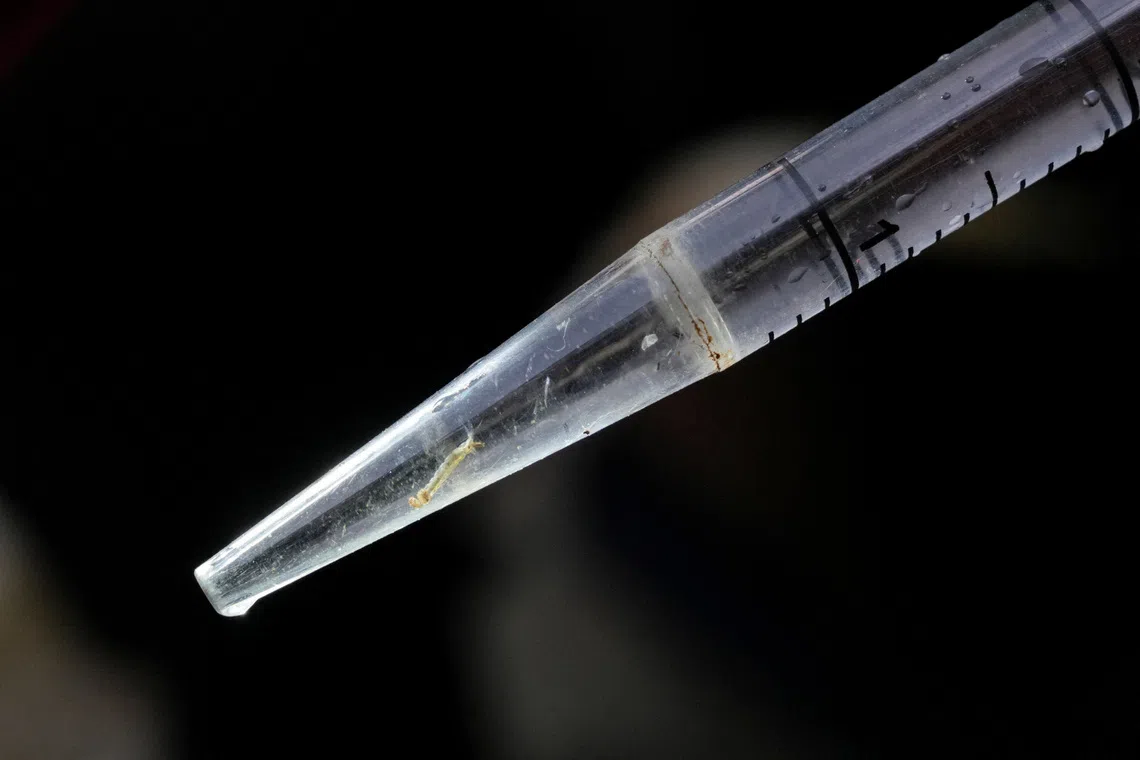 Malaysia grapples with dengue surge as deaths reach 55 this year