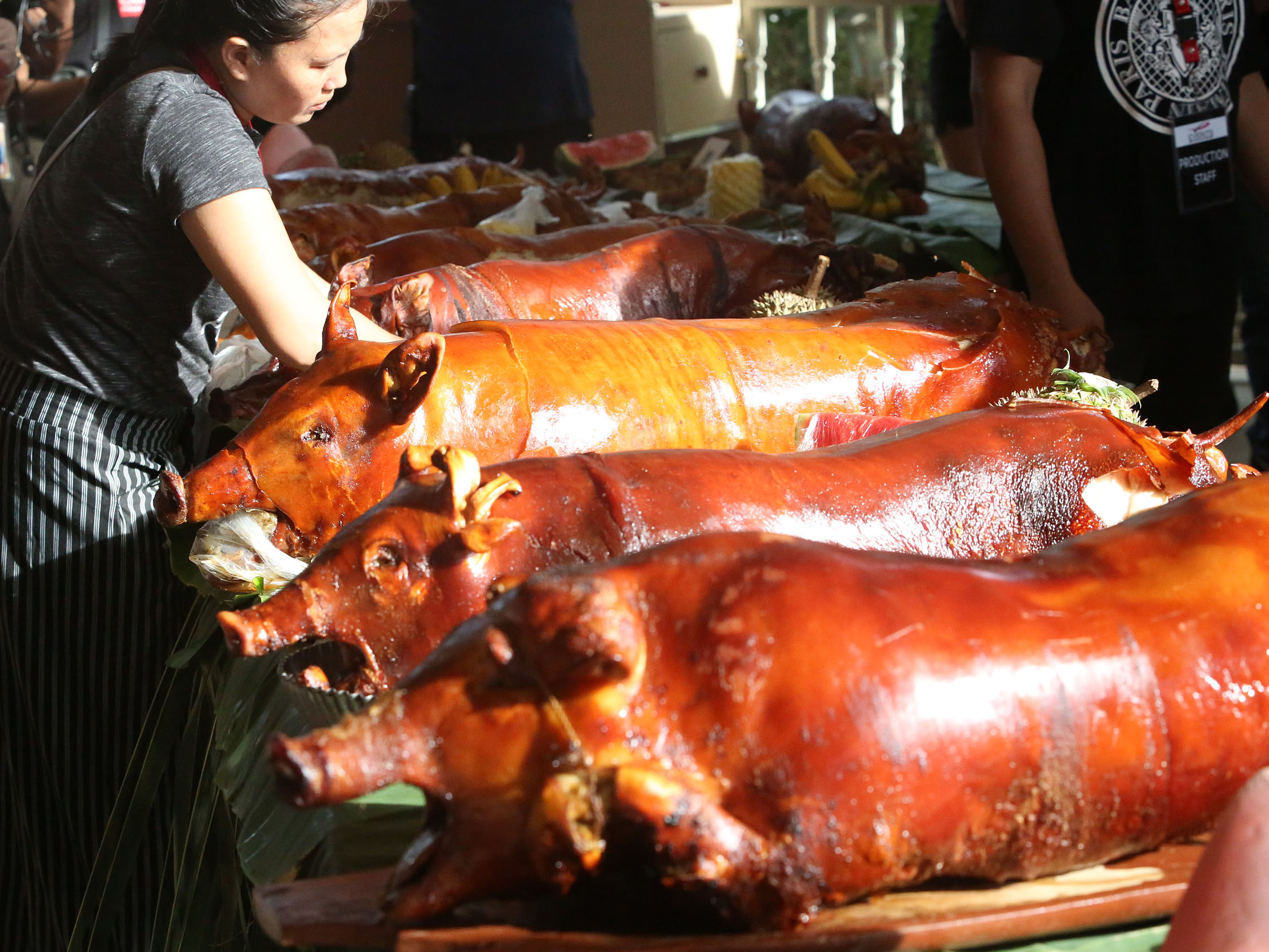 Cebu binuksan ang shipment ng baboy para sa lechon production