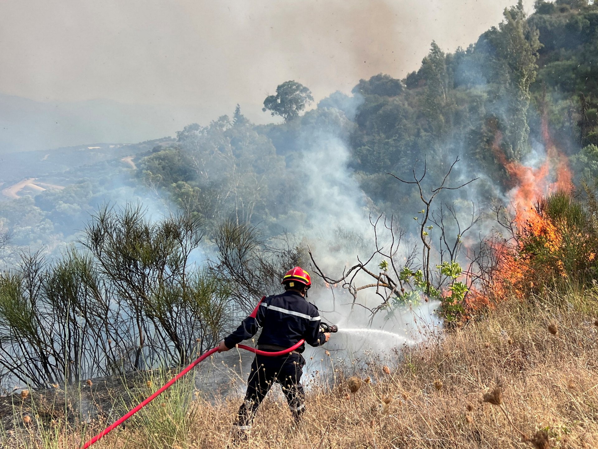Algeria approves death penalty for forest arsonists amid rights concerns