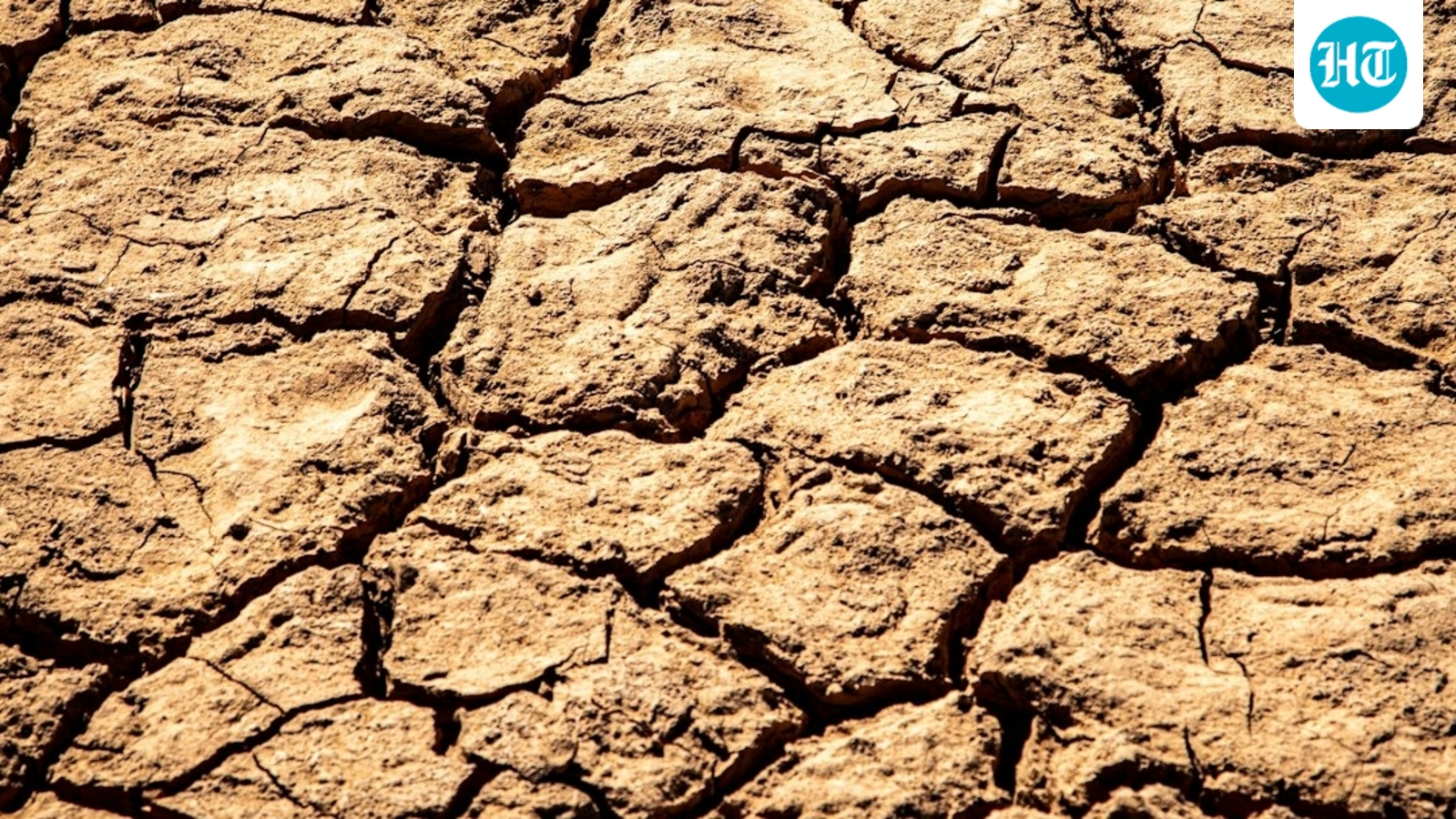 Three Maharashtra villages seek removal from drought-affected list
