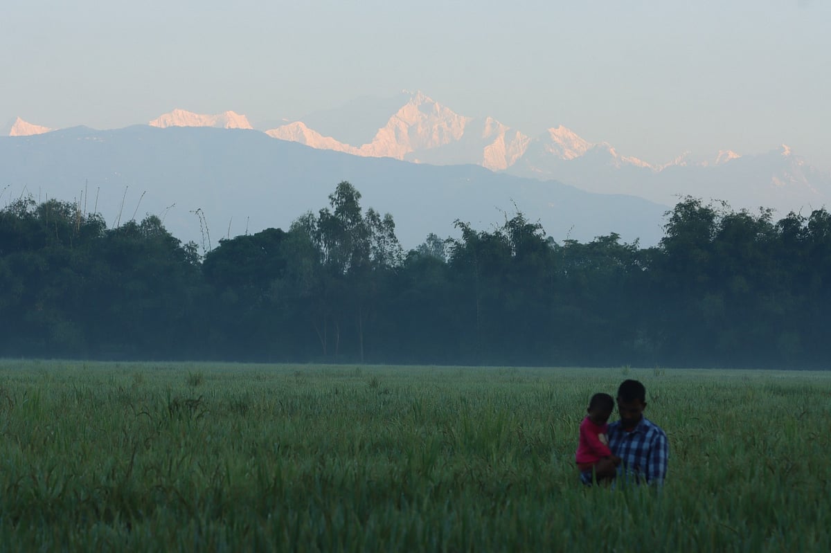 কাঞ্চনজঙ্ঘার সাদা শৃঙ্গ ভোরের আলোয় উজ্জ্বল