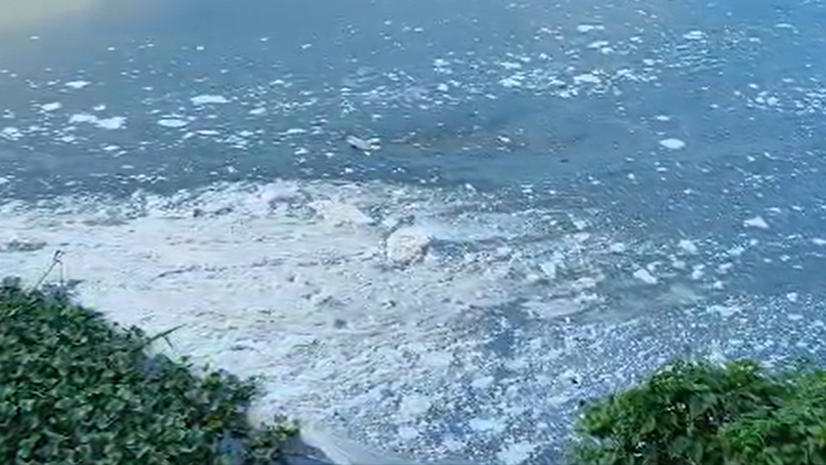 Kerala PCB Investigates Suspected Industrial Discharge in Periyar River