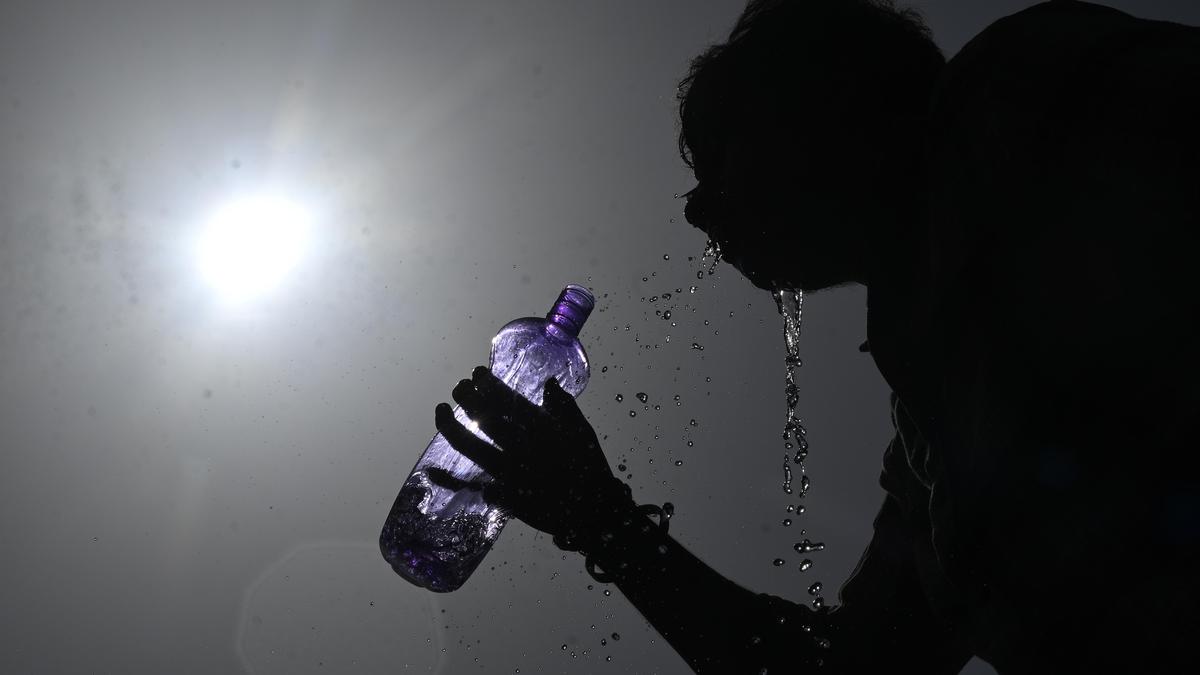 India ranks among nations most exposed to dangerous heatwaves