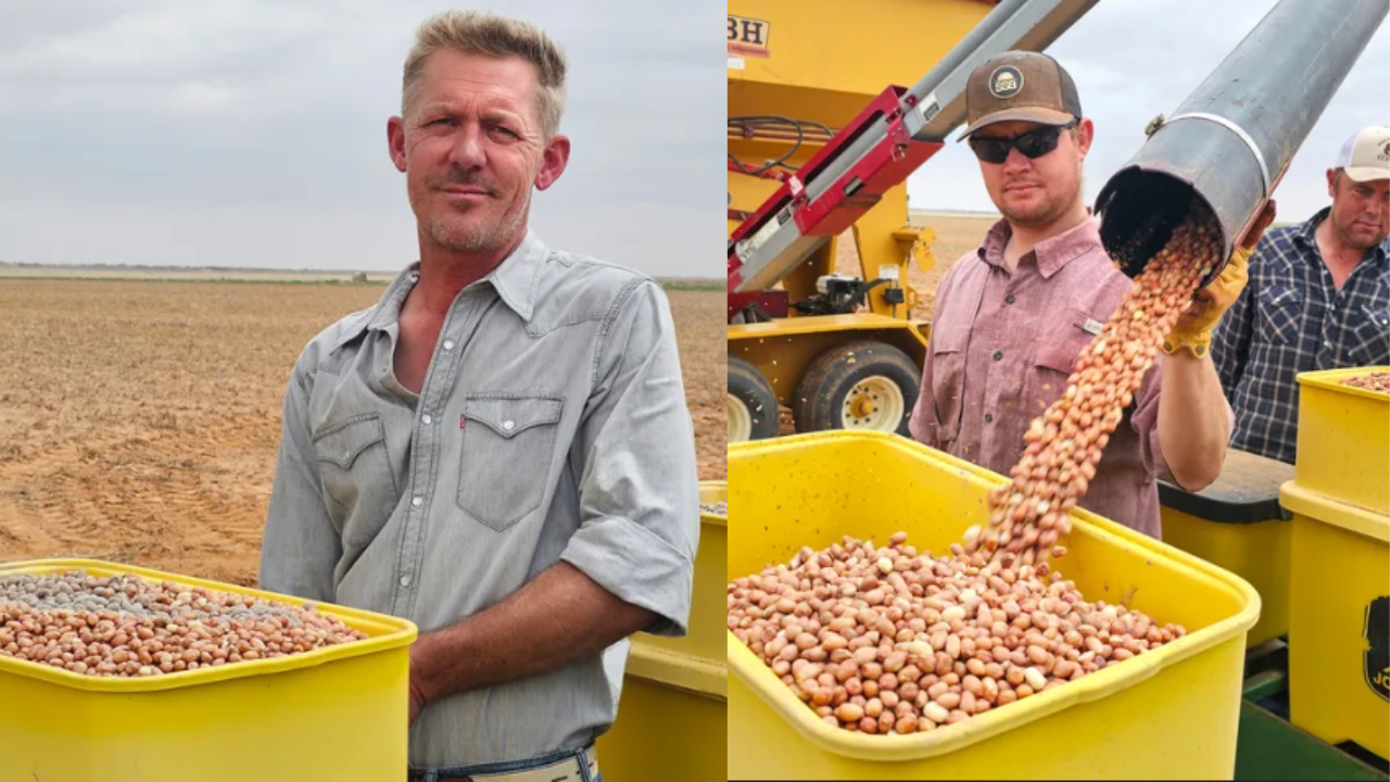 From child laborer to vineyard owner: American's unlikely agricultural success