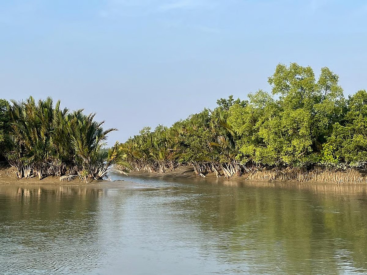 Sundarbans protection demands unified conservation strategy