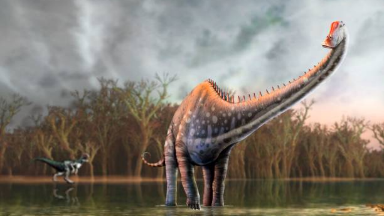 Spanish discovery reshapes understanding of Diplodocus dinosaur range