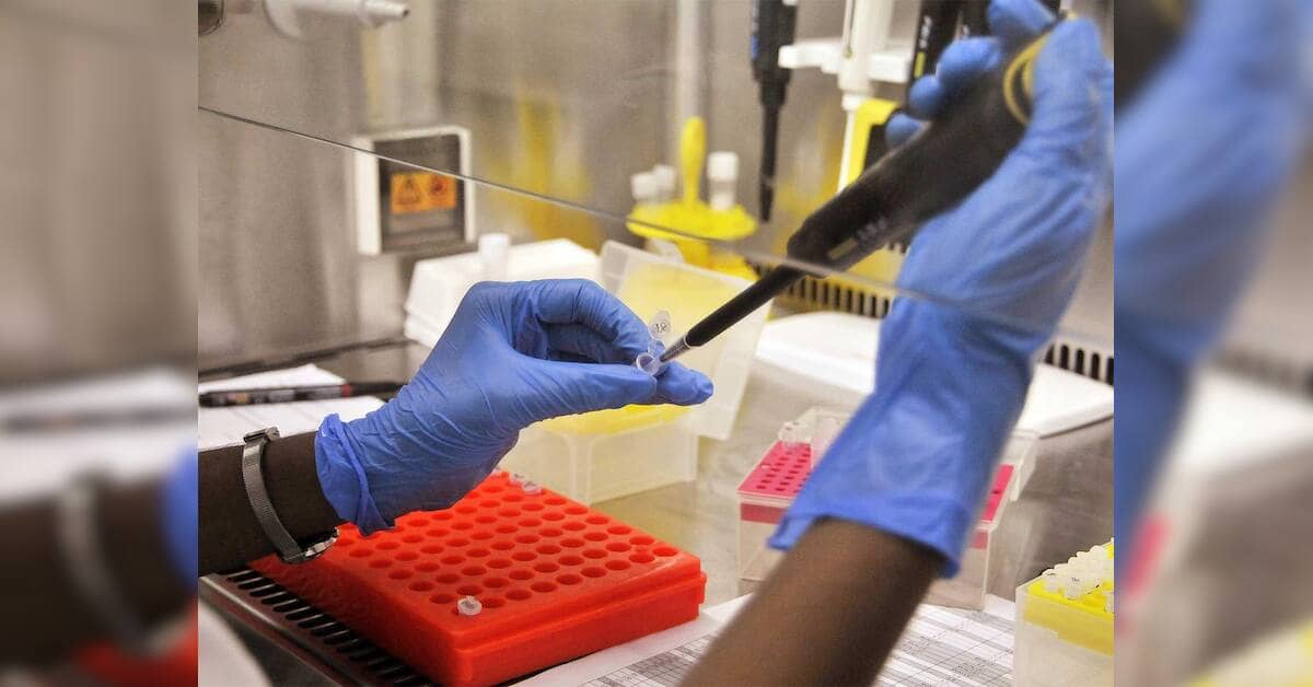 Diagnostics sector poised for steady growth through FY27 on demand strength