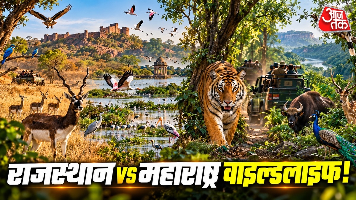 अक्टूबर में वन्यजीव पर्यटन के लिए राजस्थान या महाराष्ट्र, जानें कौन सा है बेहतर