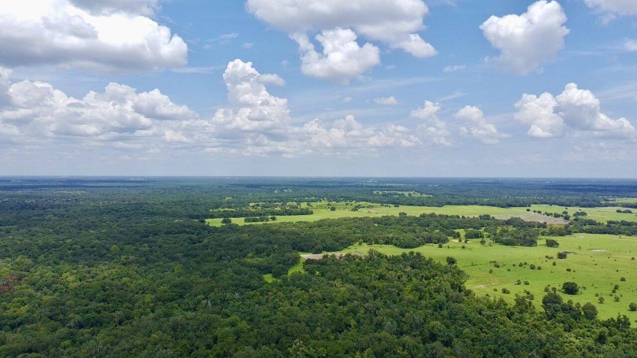 Florida Rancher Realizes Conservation Dream with Wildlife Habitat Purchase