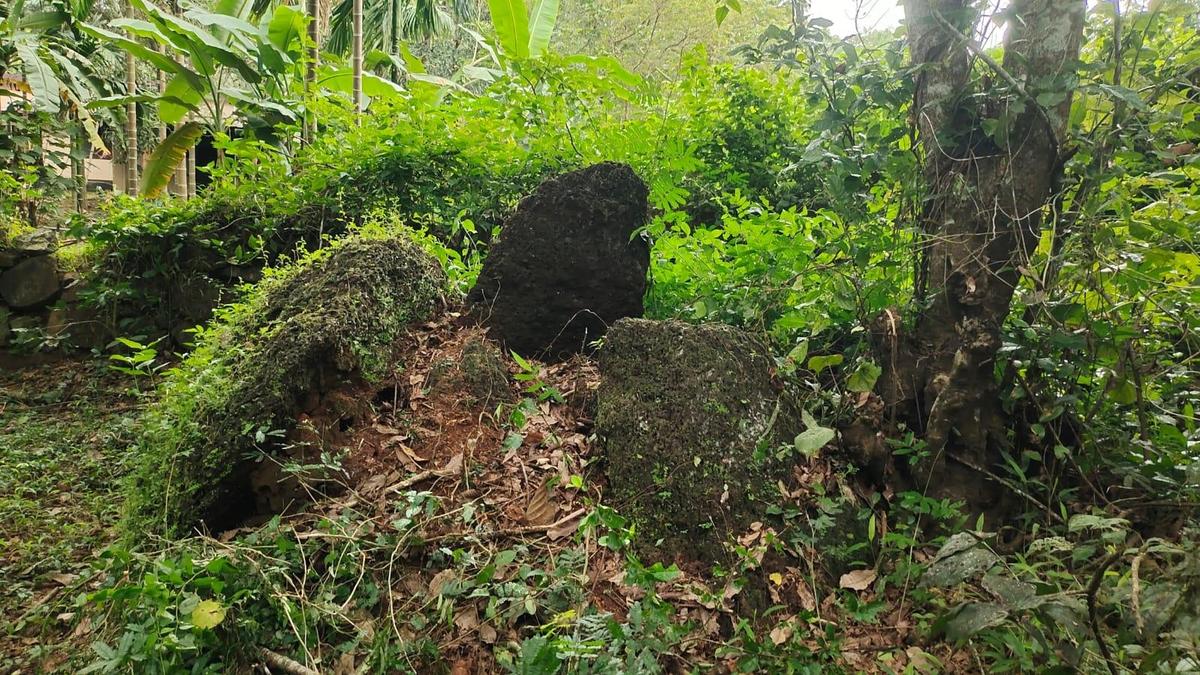 Kerala archaeology department to restore seven megalithic umbrella stones in Kannur