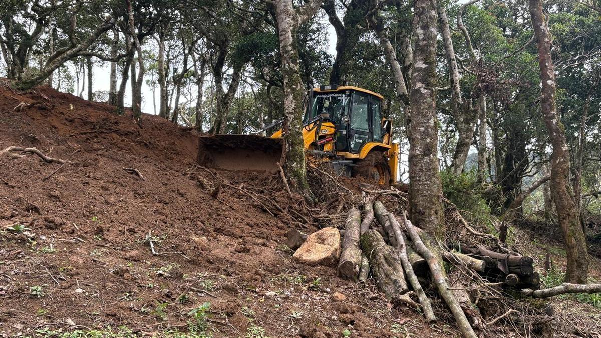 Kerala Forest Department Seeks to Withdraw Tree-Felling Case Against Accused