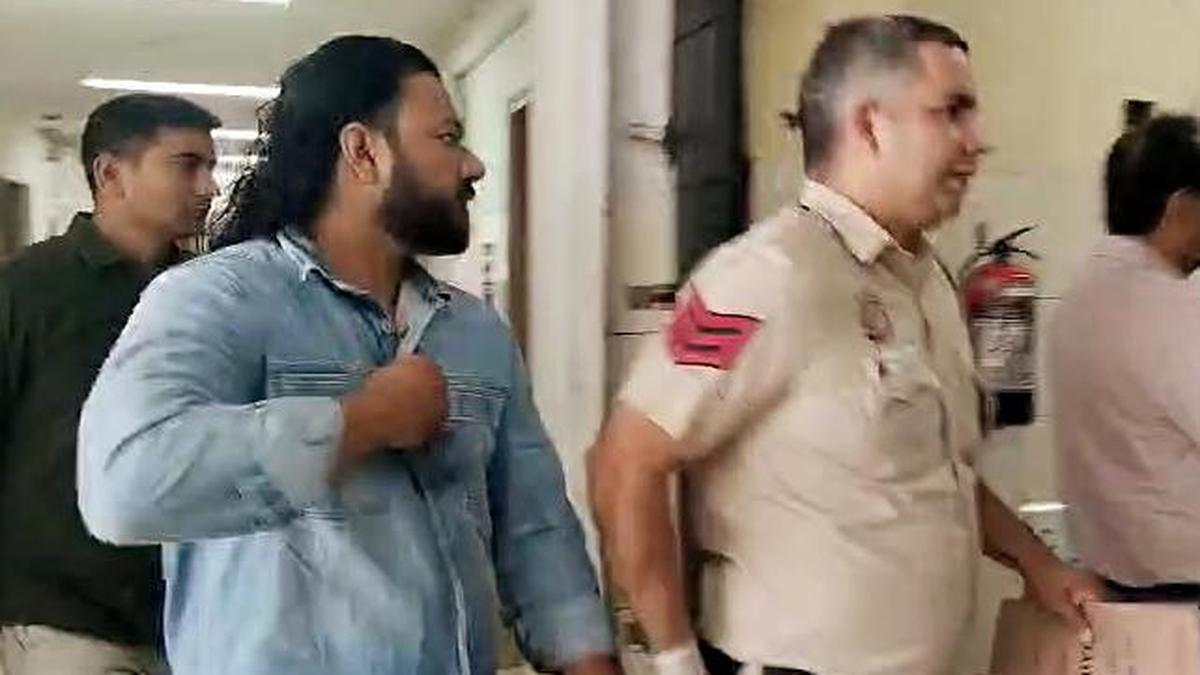 Delhi Court Remands Content Creator in Racial Abuse Case