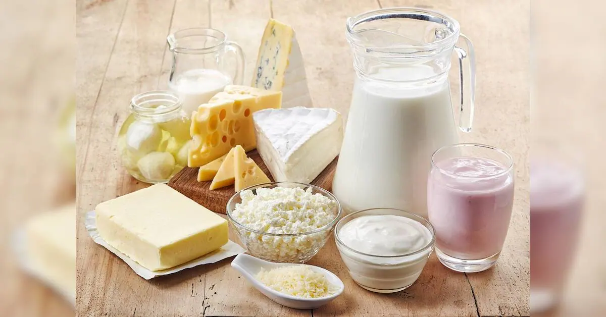 Milky Mist's Q1 profit surges eightfold to ₹65 crore
