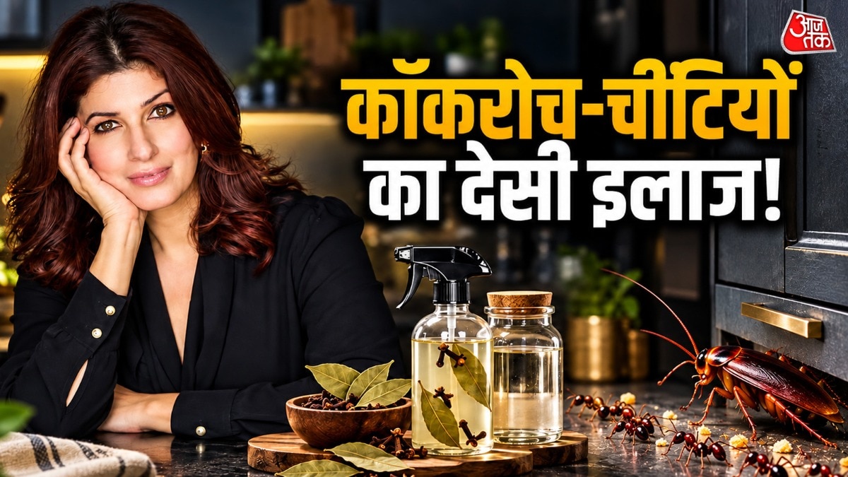 Natural kitchen spray offers chemical-free pest control solution