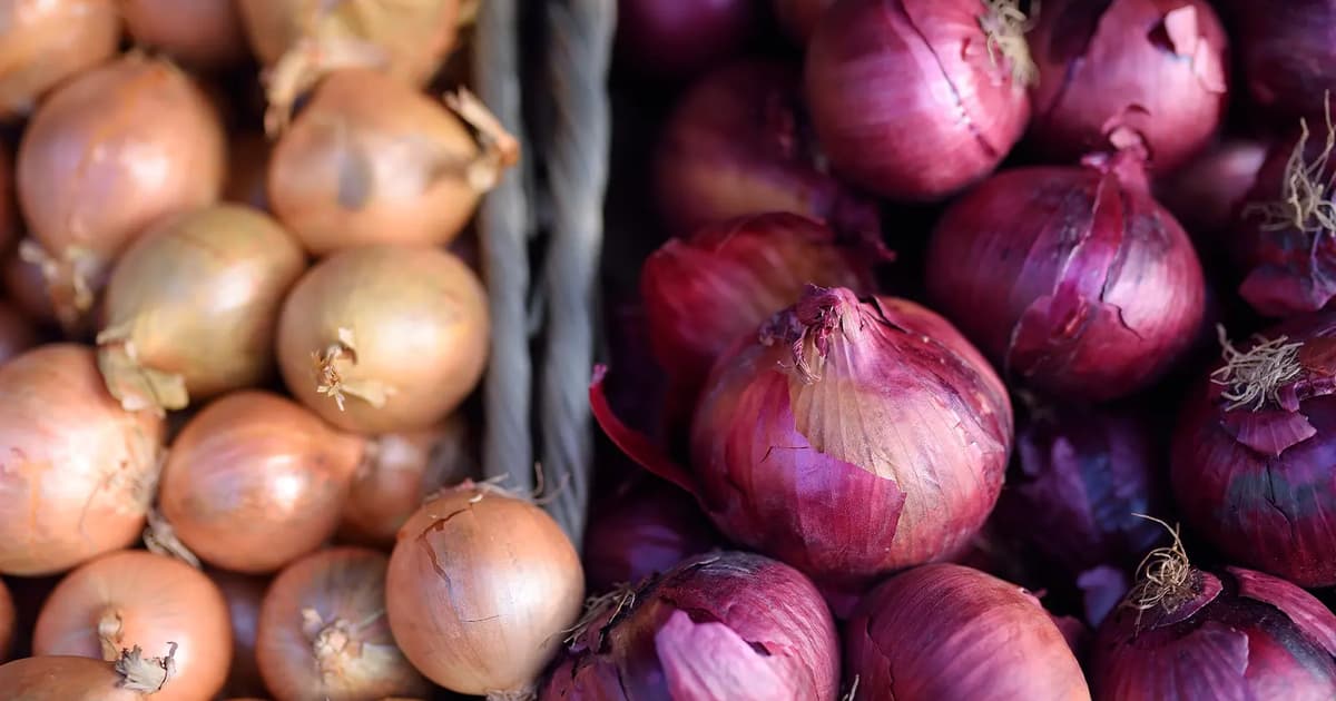 India Lancarkan 'Kereta Api Bawang' Untuk Kawal Harga Melambung