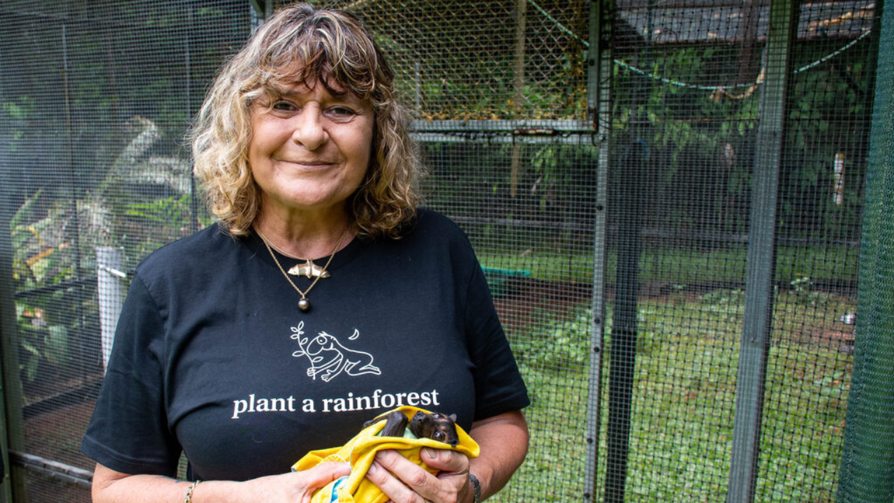 Australian woman's tree-planting effort restores rainforest ecosystem