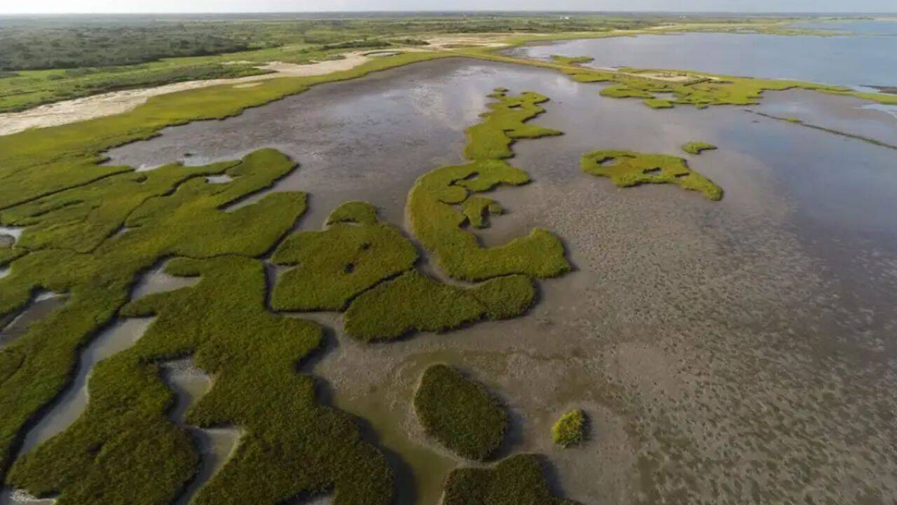 Texas transforms coastal ranch into major wildlife conservation area