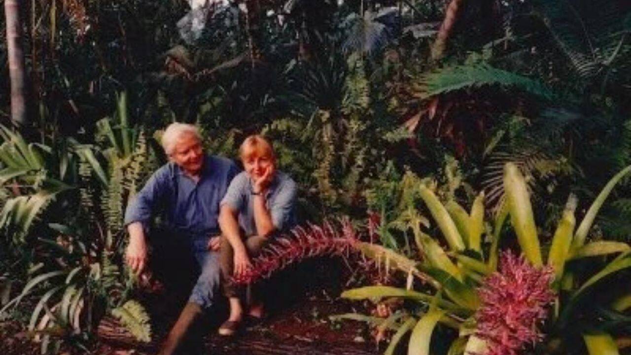 Pulitzer laureate transforms barren Hawaiian land into thriving palm forest