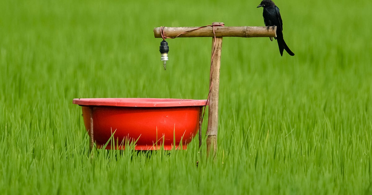 দক্ষিণ এবং দক্ষিণ-পূর্ব এশিয়ায় এই সপ্তাহের শীর্ষ সংবাদ