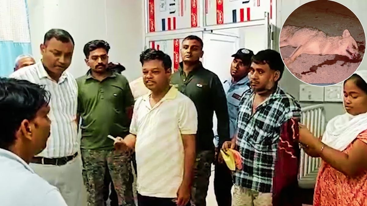 Jackal attack injures over 10 people in Bihar's Rohtas district