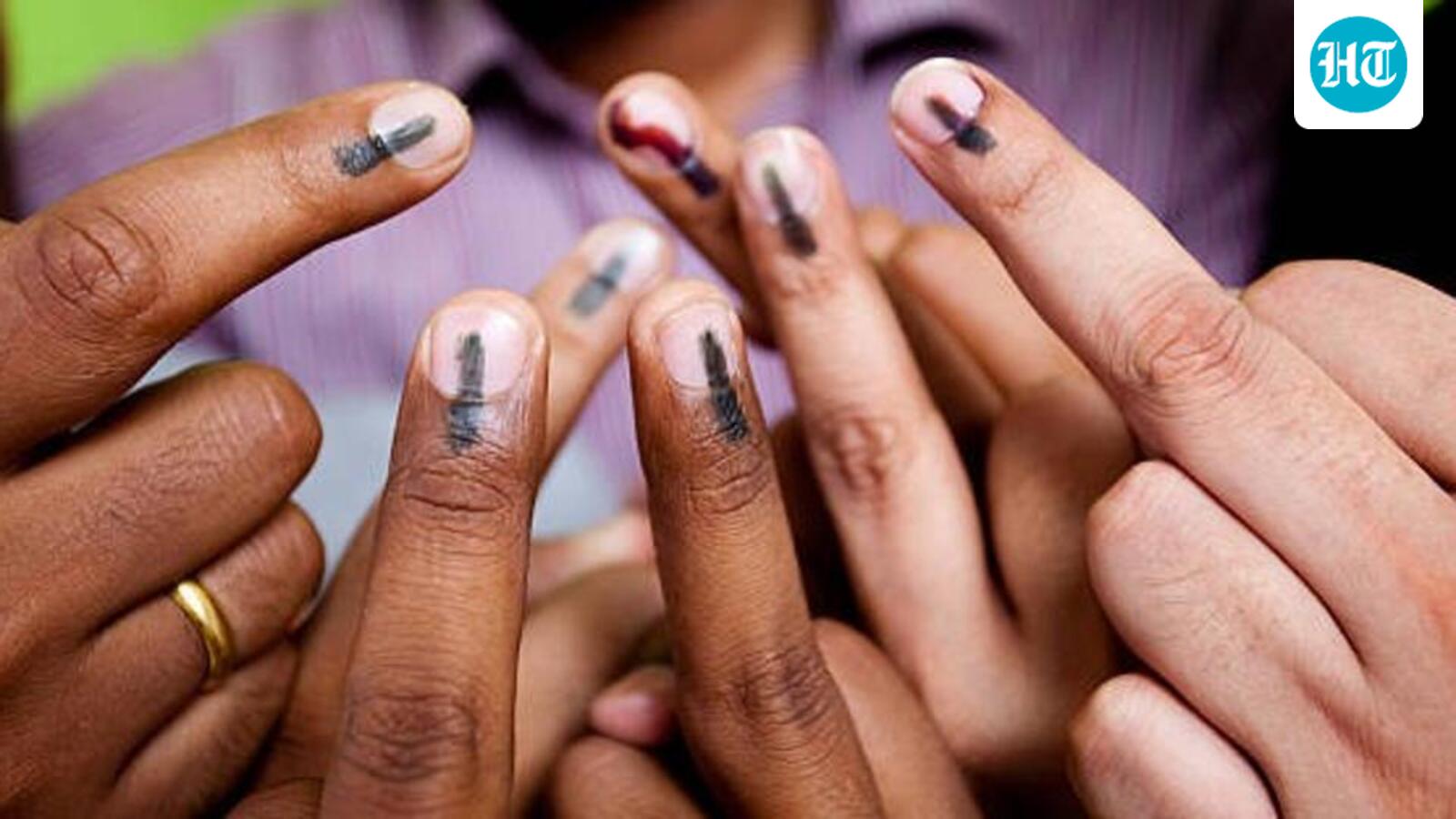 TDP-led alliance sweeps majority of unopposed seats in AP rural elections