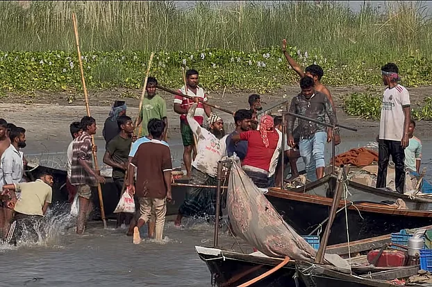 মা ইলিশ রক্ষা অভিযানে জেলেদের হামলা, ৪১ জন গ্রেপ্তার