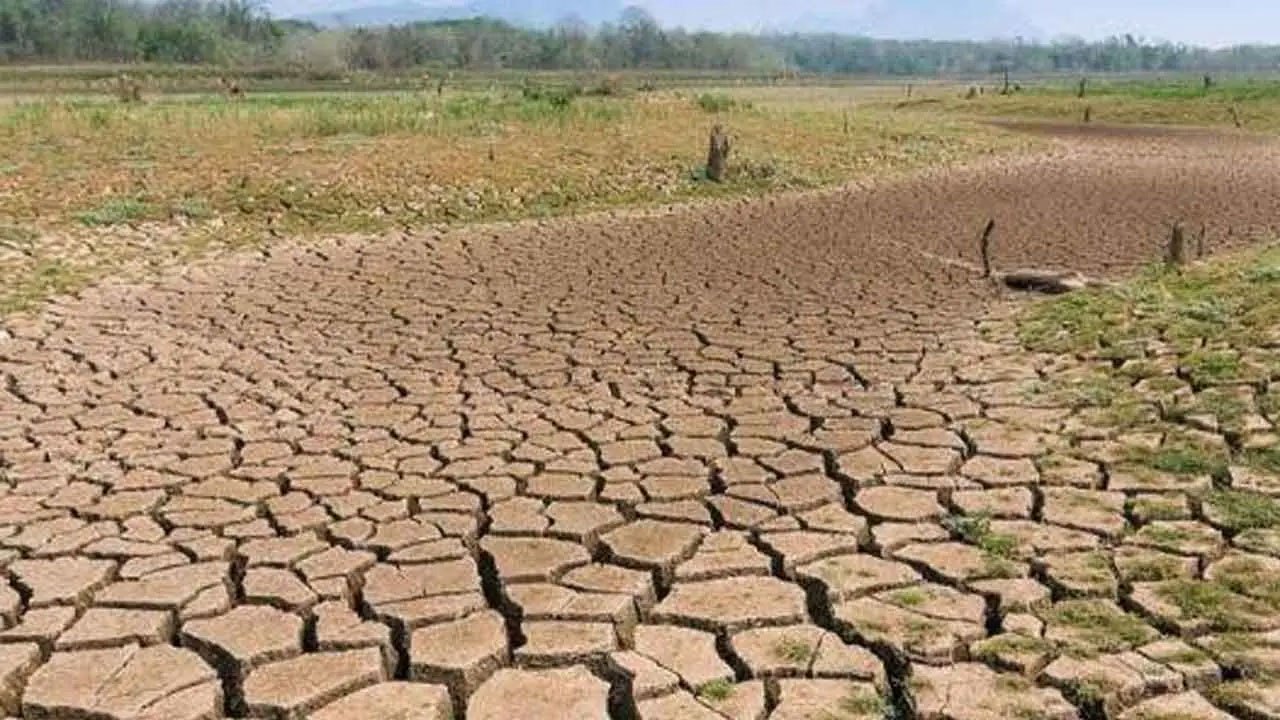 Drought conditions destroy nearly 8,000 acres of crops across Sri Lanka