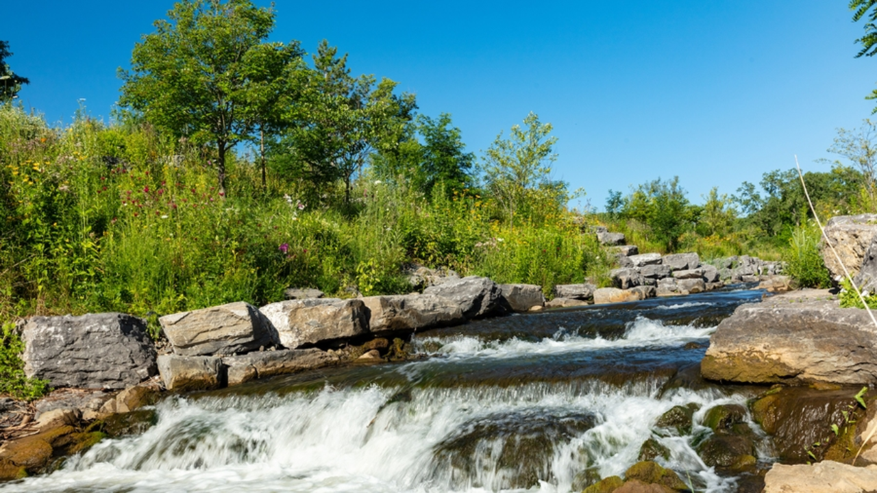 Urban Waterway Restoration: Hidden Creek Returned to Daylight
