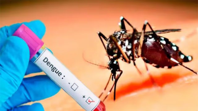 Dengue cases in Sri Lanka exceed 94,000 as outbreak accelerates