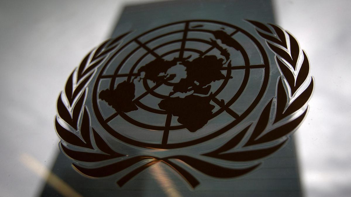 UN panel flags India's concerns over citizenship processes, hate speech