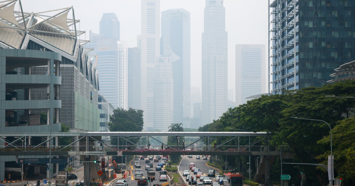 Singapore banks tighten lending to firms linked to deforestation