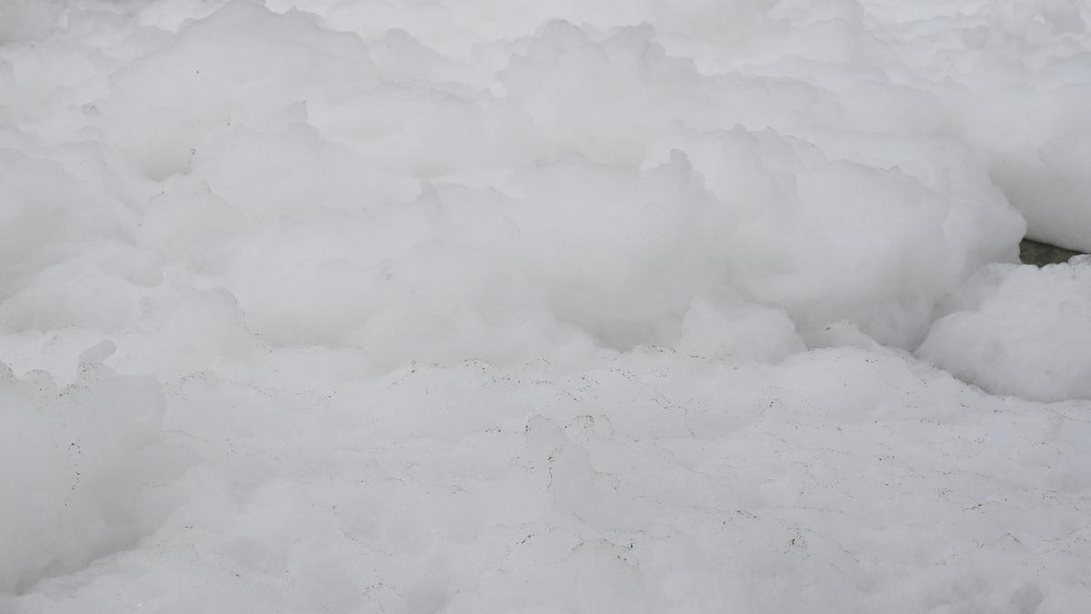 White foam spotted on Periyar River near Kerala industrial zone