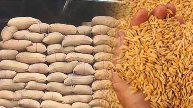 Paddy Marketing Board secures over 46,000 metric tonnes of paddy