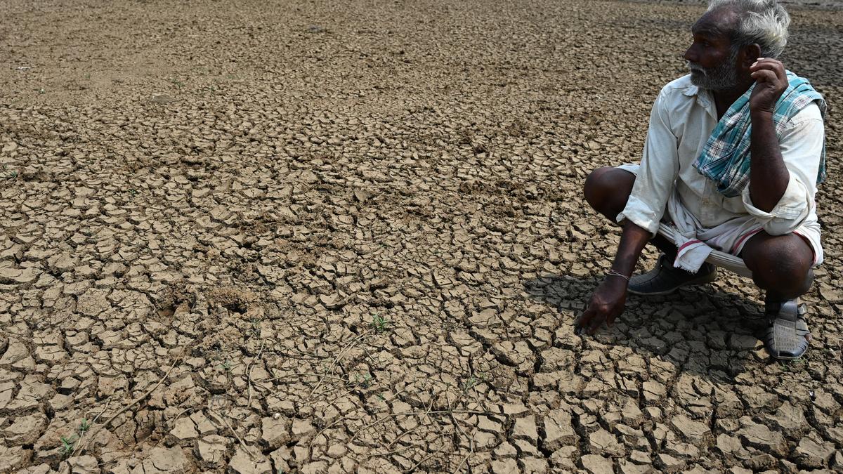 Agricultural body urges pension, insurance scheme for drought-hit farmers