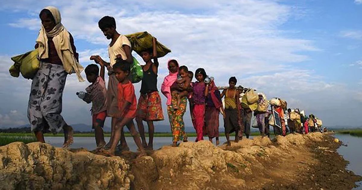 Diplomatic missions warn Myanmar conditions remain unsafe for Rohingya return