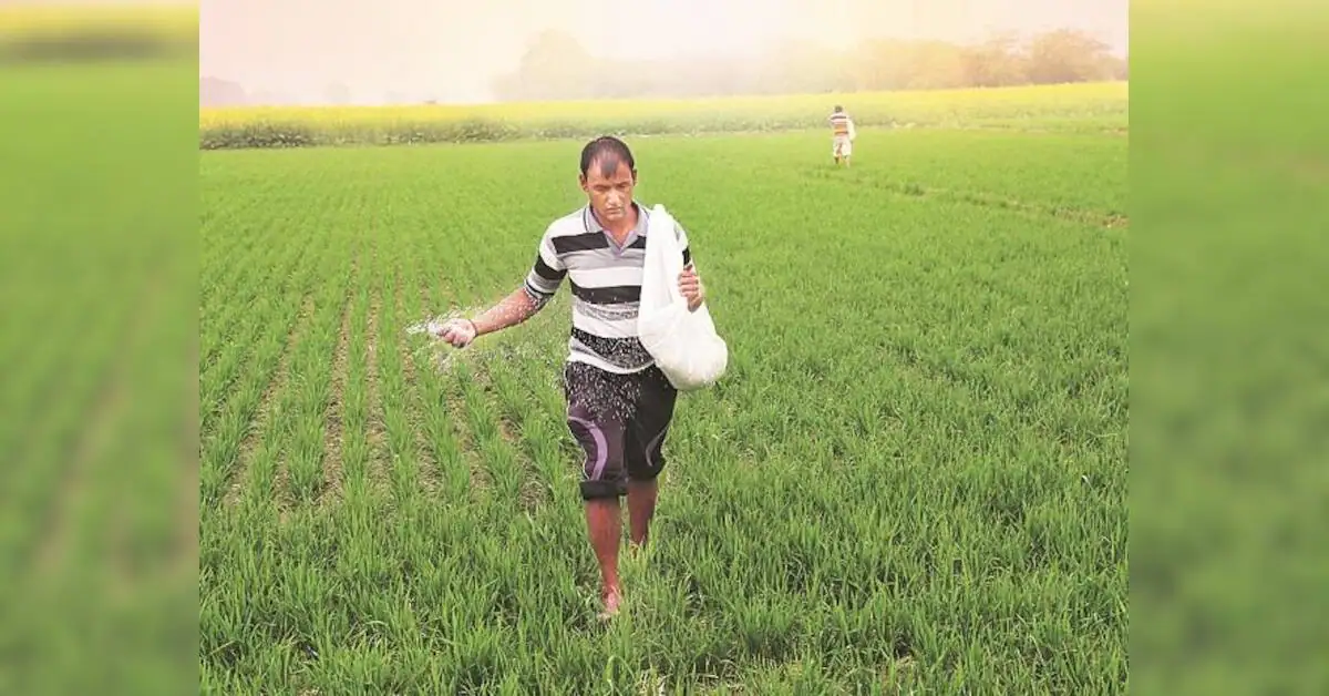 Rajasthan govt claims fertiliser surplus as opposition cites farmer shortages