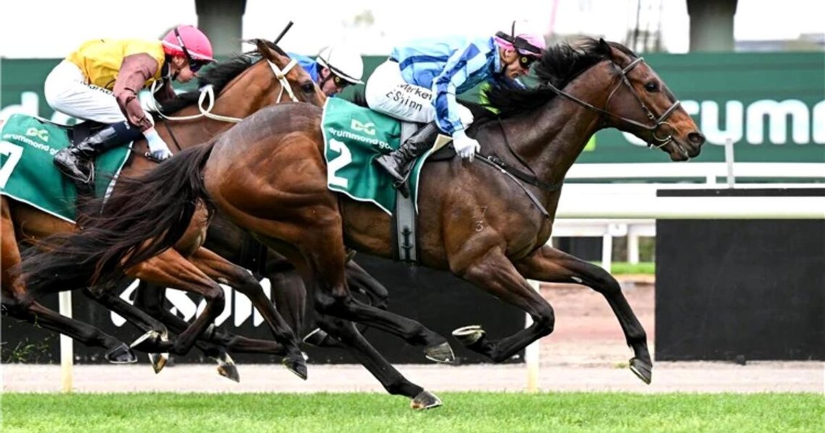 True Rebel aims to prove critics wrong with strong performance