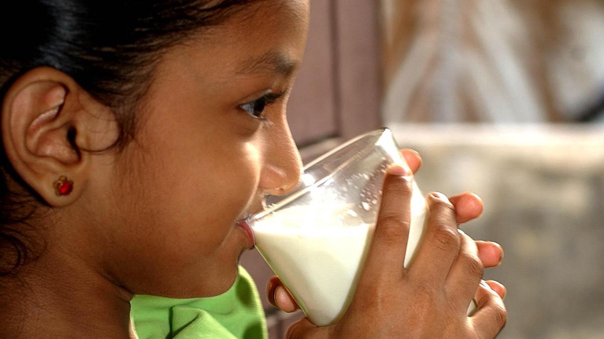 Food regulator seizes expired infant products from Bengaluru firm