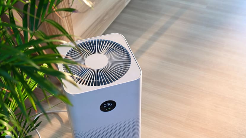 Air purifier maintenance key as haze season looms over Singapore