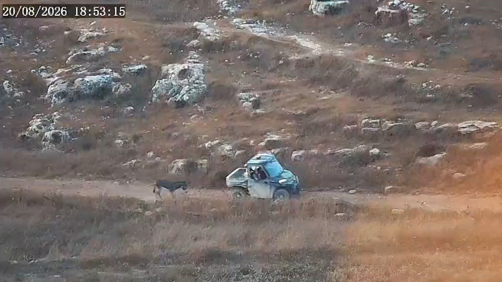 Israeli settlers accused of killing Palestinian farmer's donkey