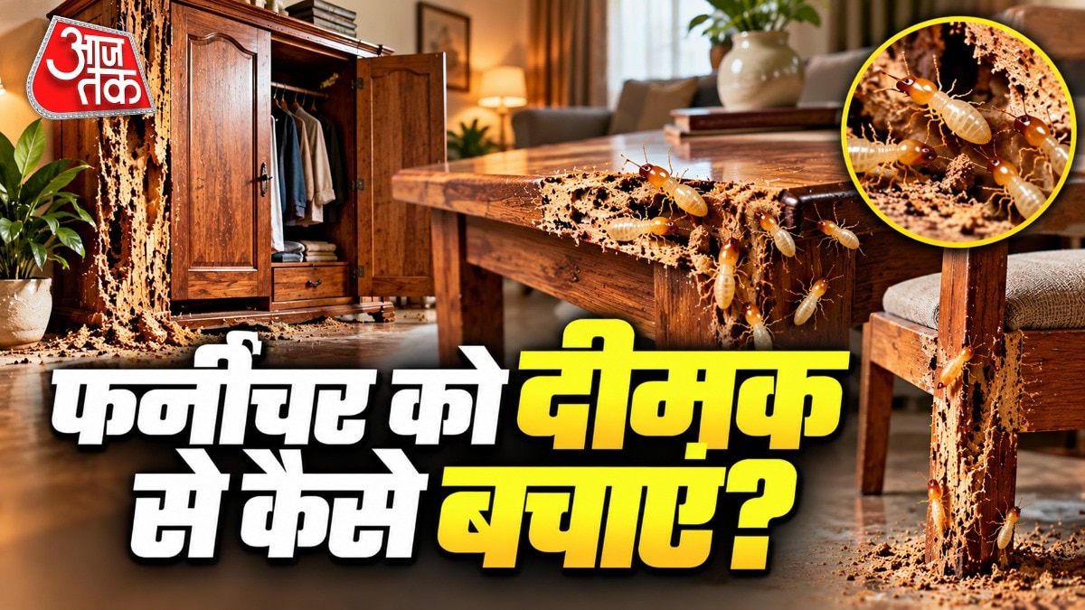 दीमक से घर बचाएं: घरेलू उपायों और स्थायी समाधानों की संपूर्ण जानकारी